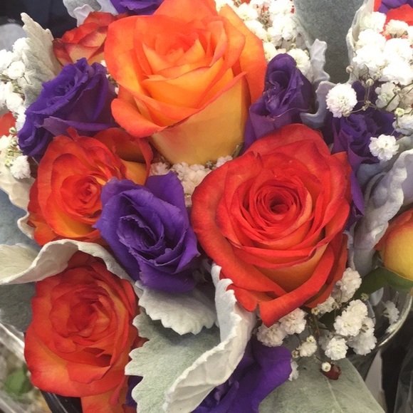 Meet your Posher, Caitlin - Picture 1 of 1